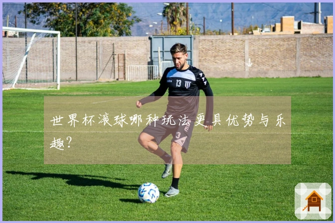 世界杯滚球哪种玩法更具优势与乐趣？