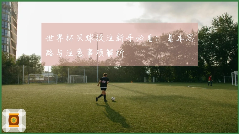 世界杯买球投注新手必看：基本思路与注意事项解析