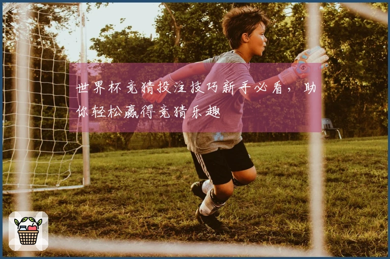 世界杯竞猜投注技巧新手必看，助你轻松赢得竞猜乐趣