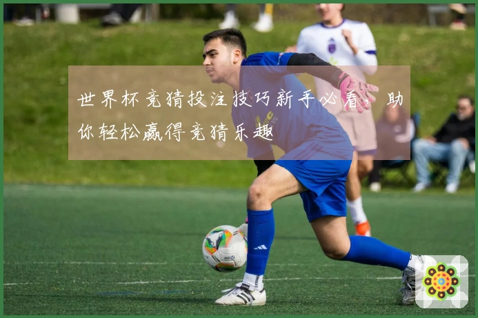 世界杯竞猜投注技巧新手必看，助你轻松赢得竞猜乐趣