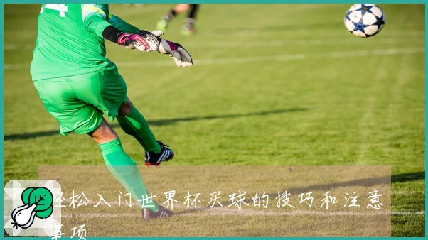 轻松入门世界杯买球的技巧和注意事项