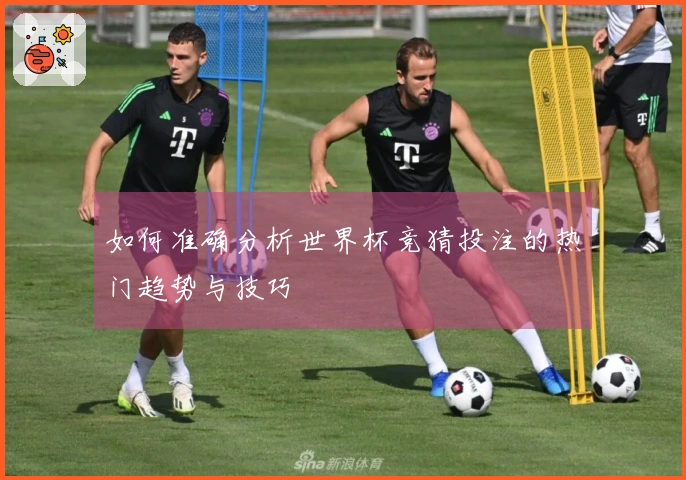如何准确分析世界杯竞猜投注的热门趋势与技巧